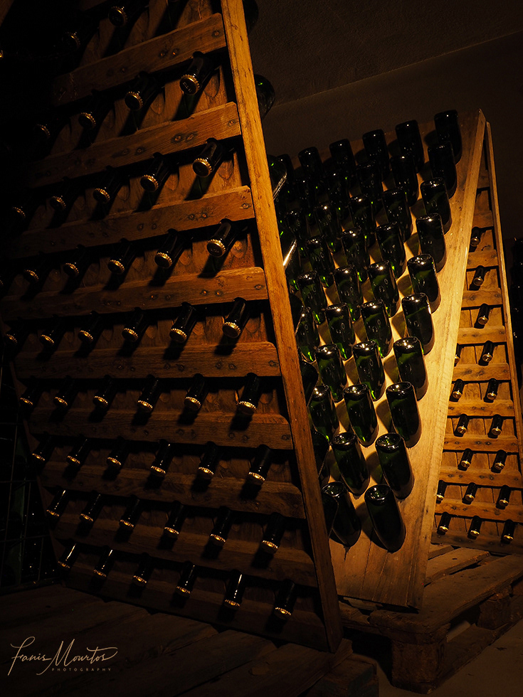 Amalia Tselepos Cellar