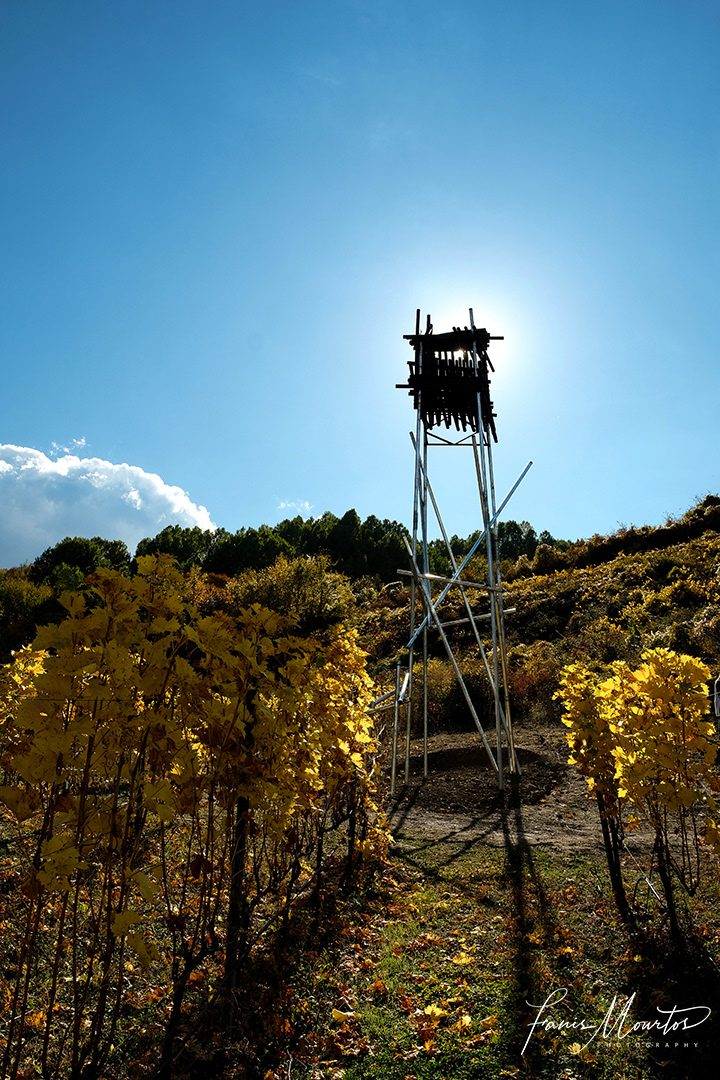 Katogi Averoff Giniets vineyards Vassilis Gerodimos installation