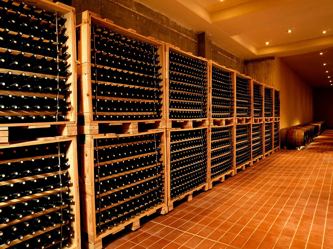 Wine Cellar