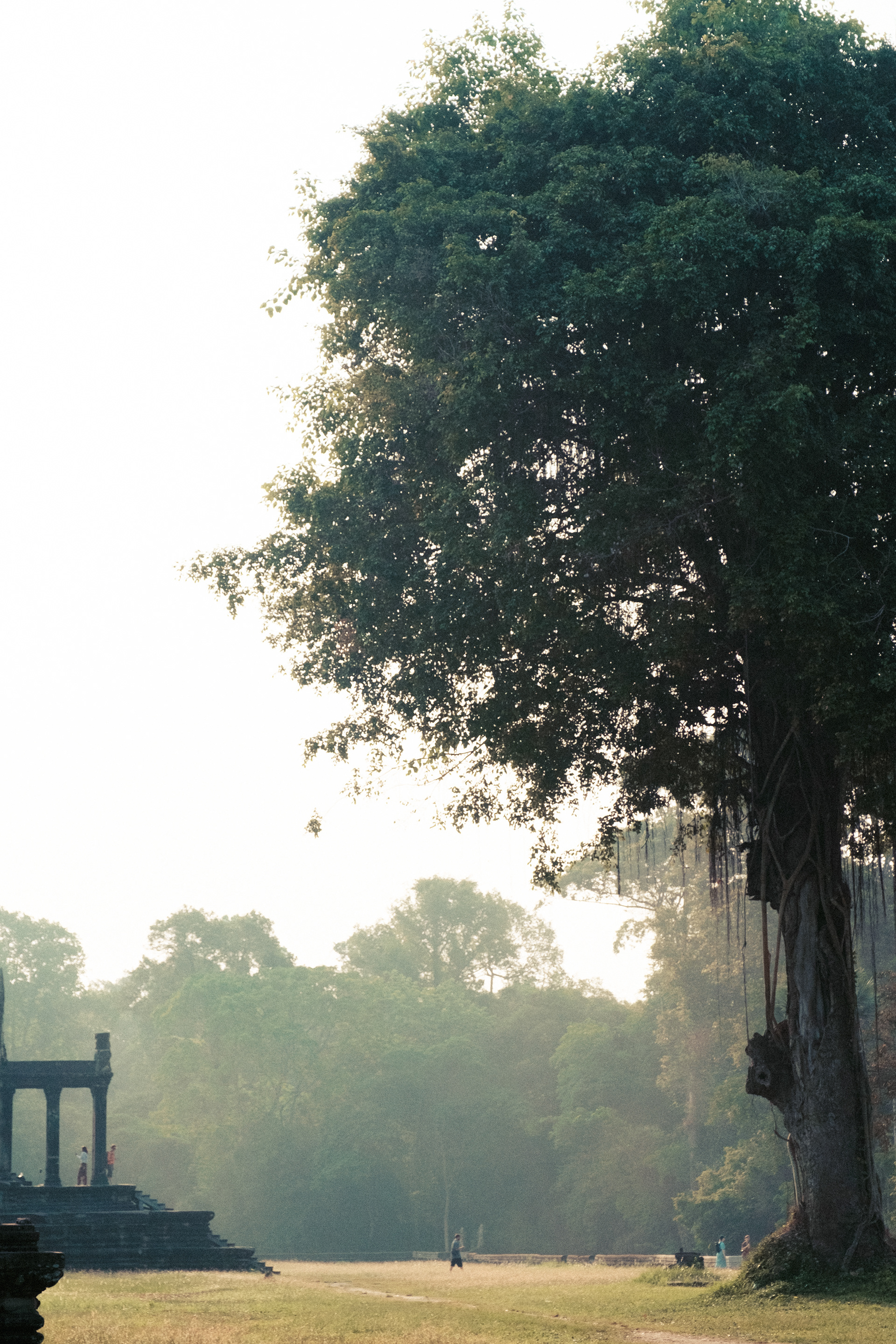 Angkor Wat, Cambodia