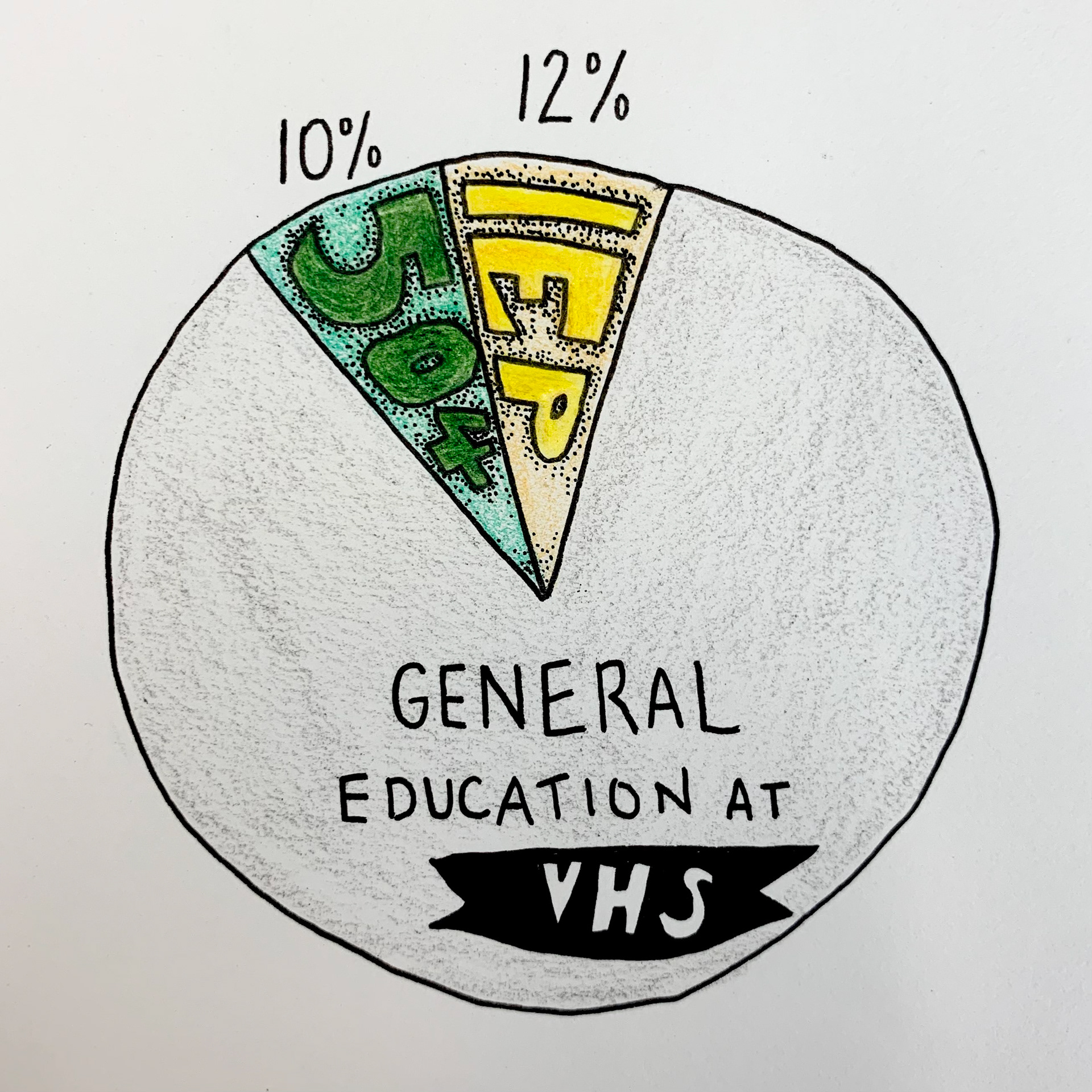 SUPPORT. Students served by 504 plans and IEPs make up 22% of the student body at VHS. The other 78% do not have written accommodations.
