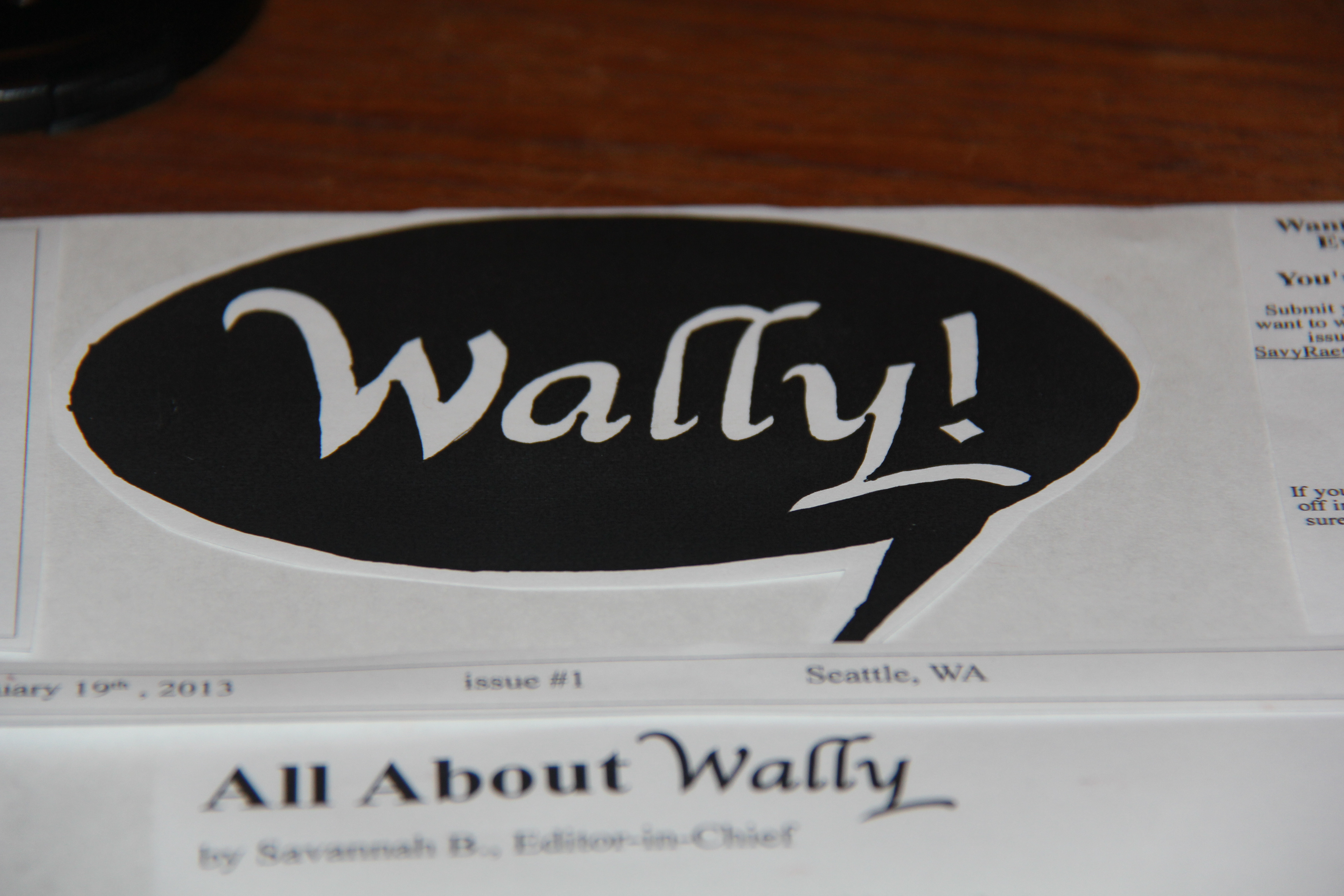 The Wally logo which was made with a plastic sheet and a lot of sharpie.