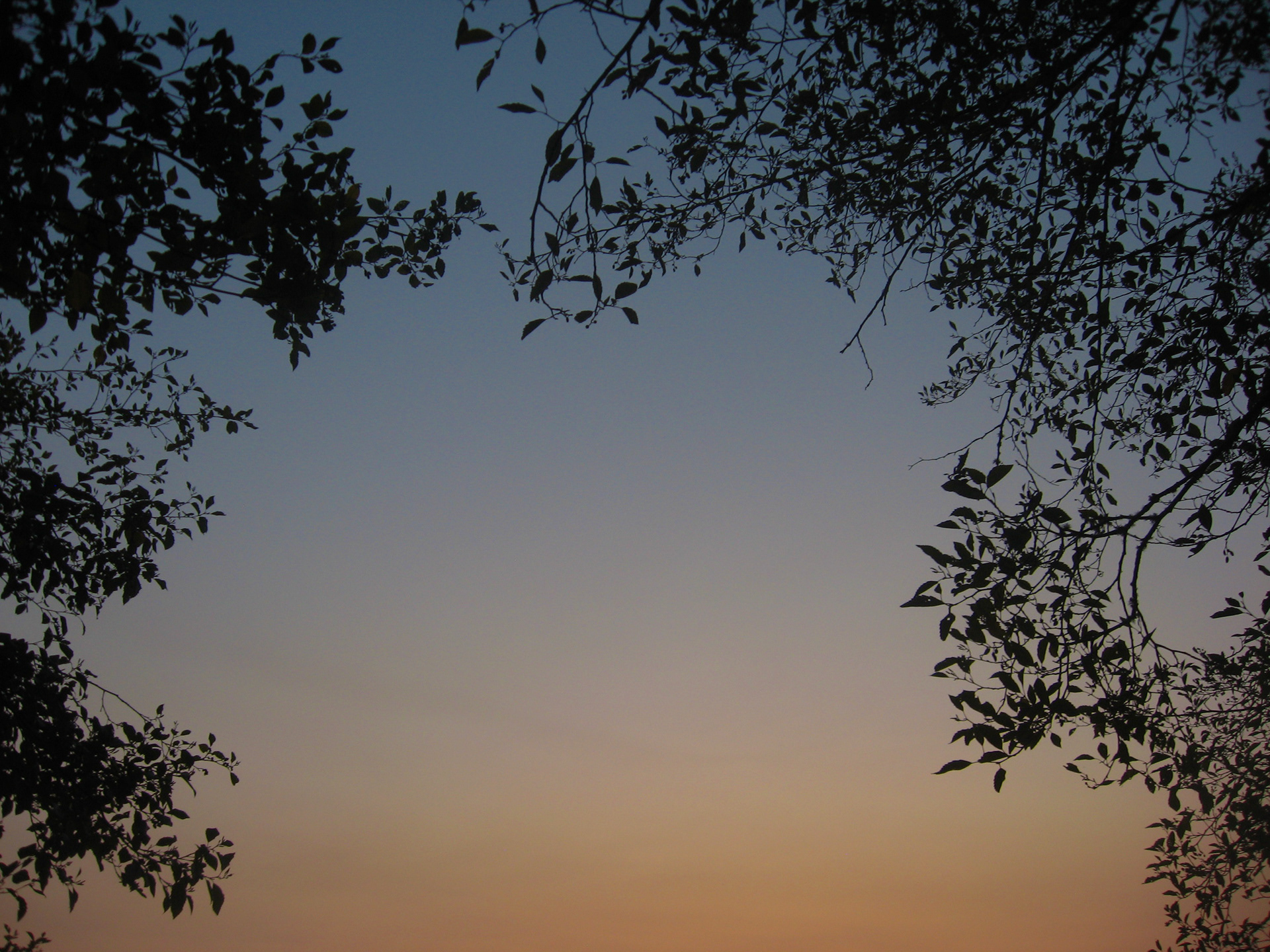 Smokey summer sunset