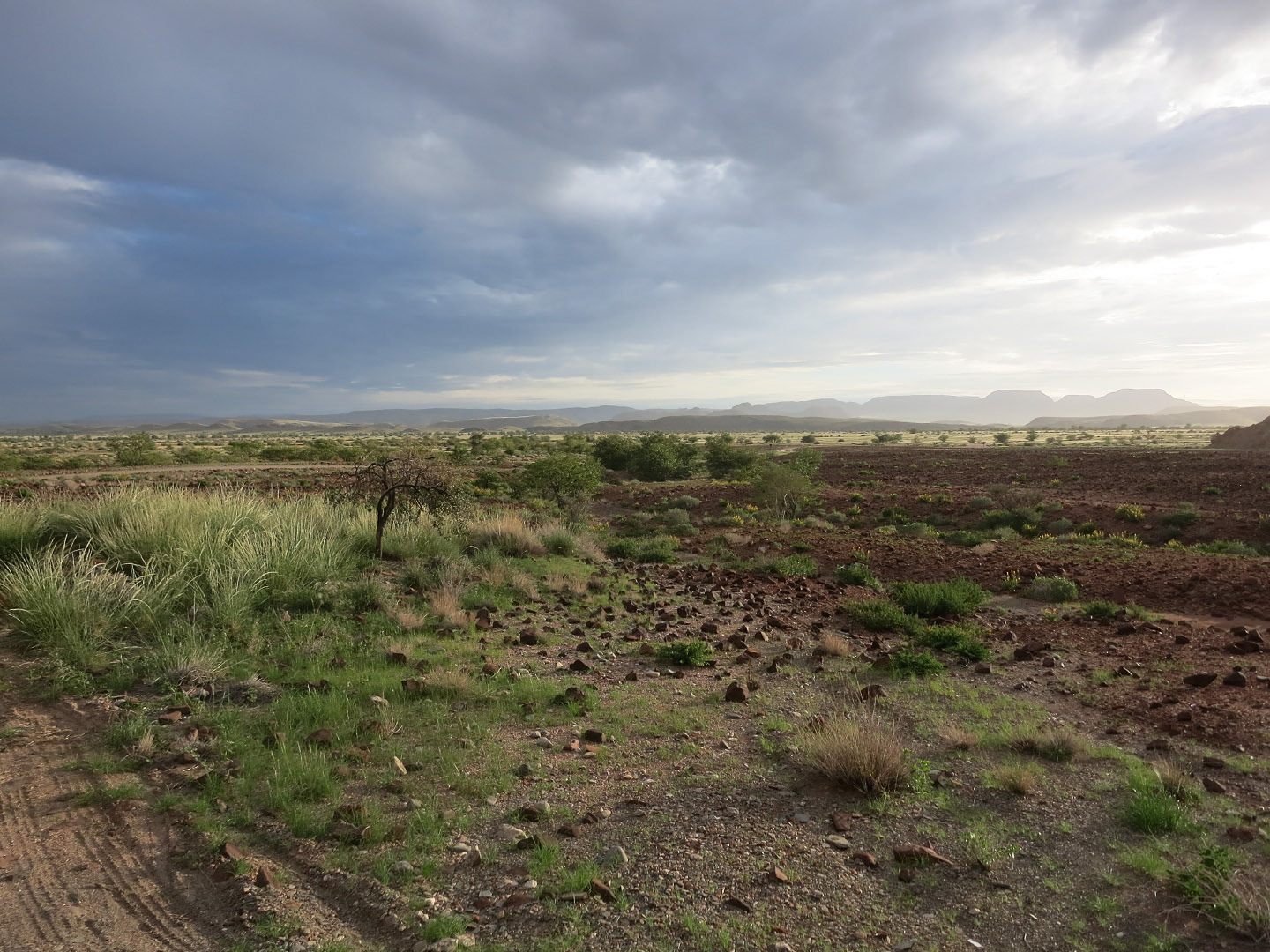 Twyfelfontein - Namibia | 2014