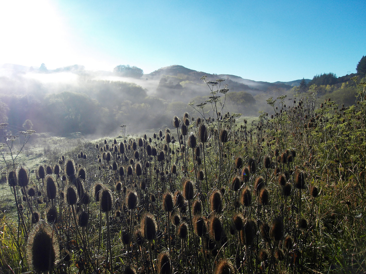 Hicks Bay_Opotiki - New Zealand | 2009