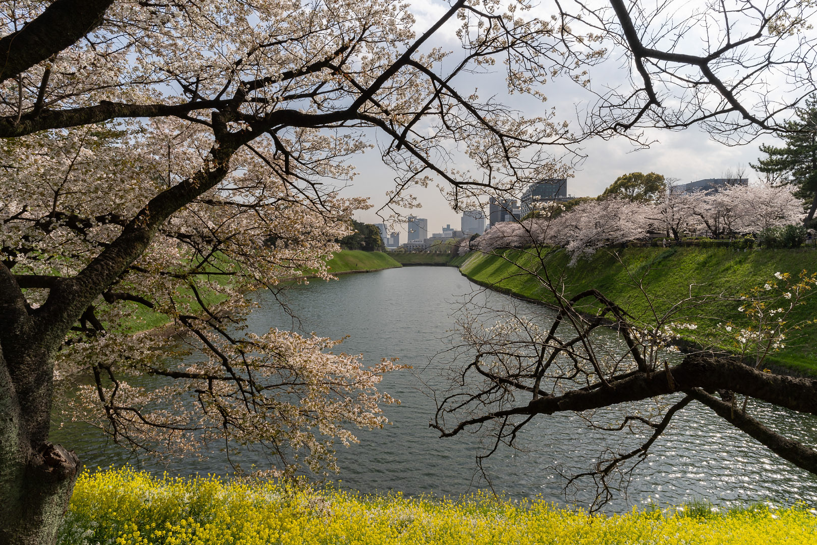 Tokyo - Japan | 2021