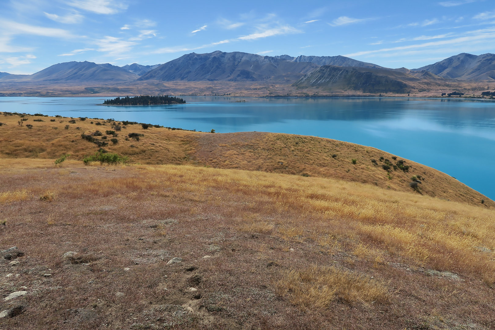 Lake Tekapo - New Zealand | 2019