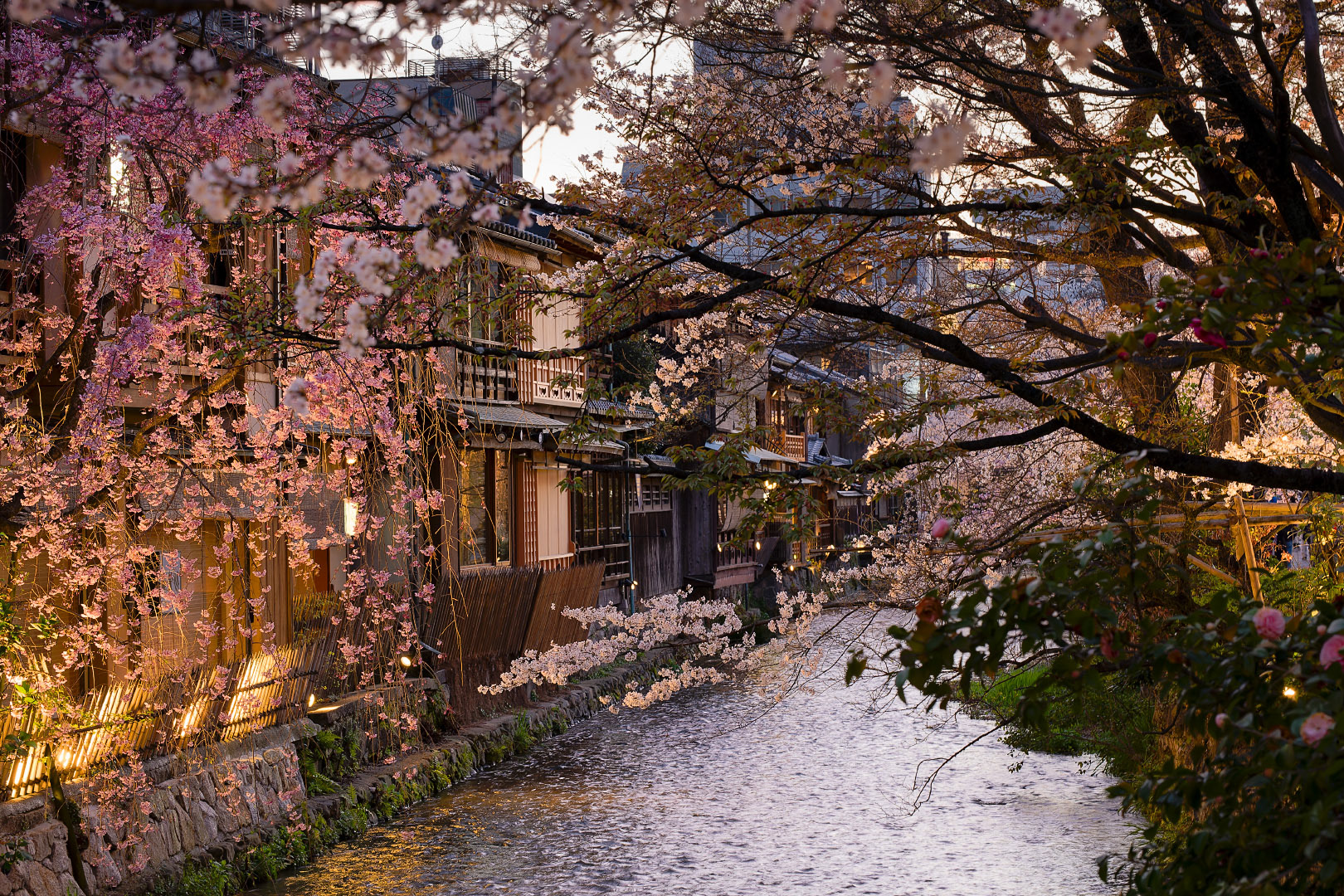 Kyoto - Japan | 2023