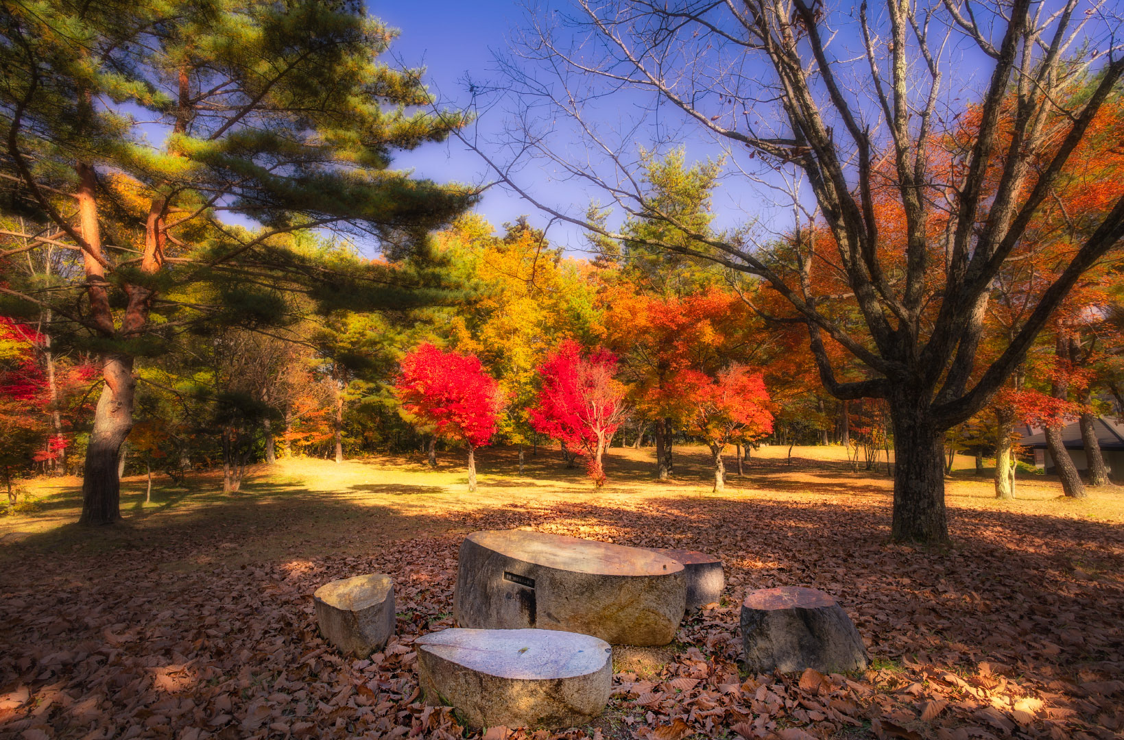 Takasekeikoku Ryokuchi Park - Japan | 2023