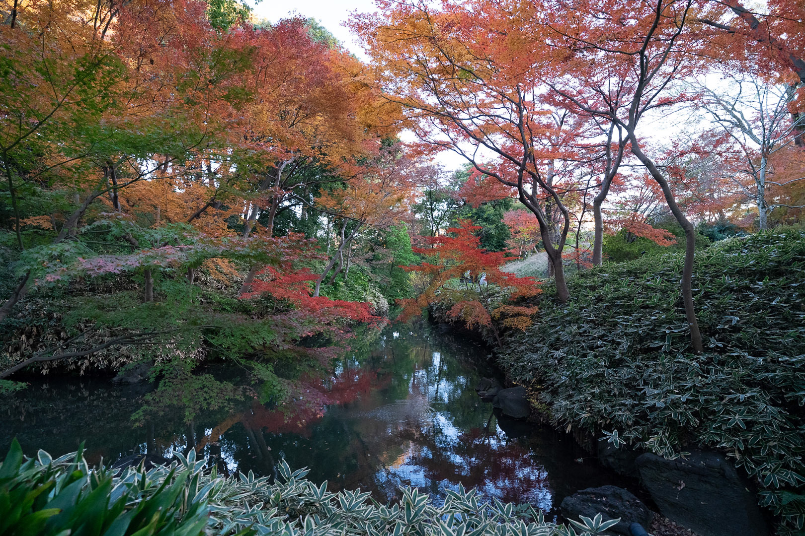 Tokyo Rikugi-en Garden - Japan | 2019