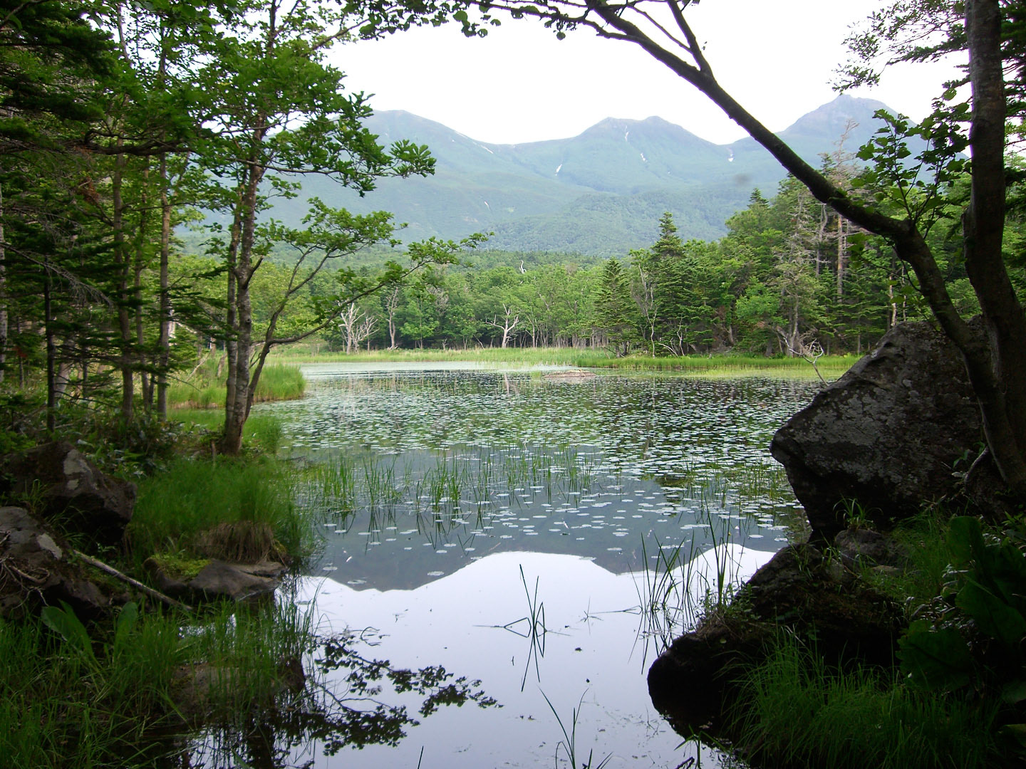 Akan National Park - Japan | 2008