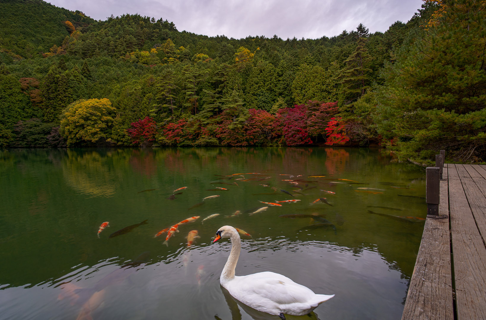 Minamiinaga Lake - Japan | 2022