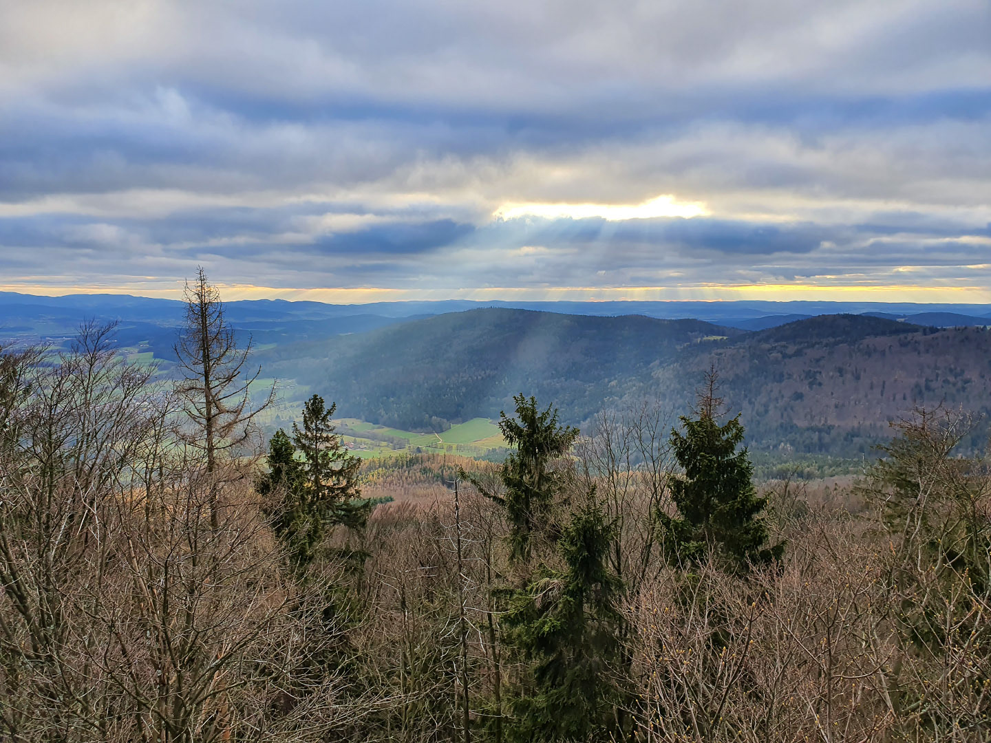 Bavarian Forest - Germany | 2019
