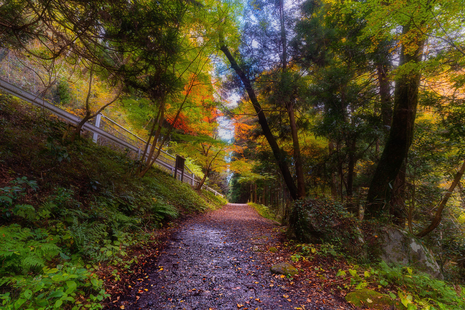 Hananuki Gorge - Japan | 2021