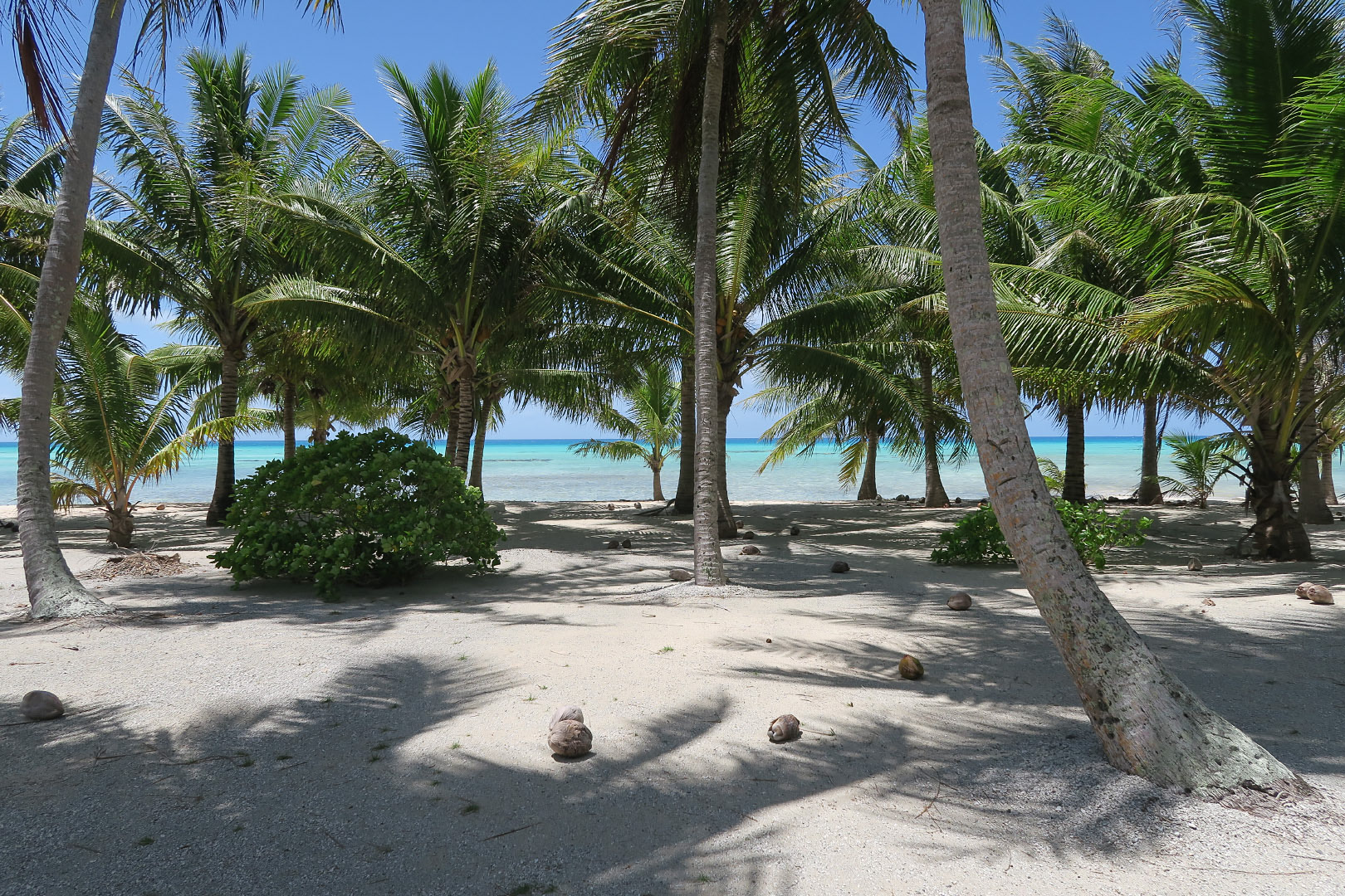Tikehau - French Polynesia | 2015
