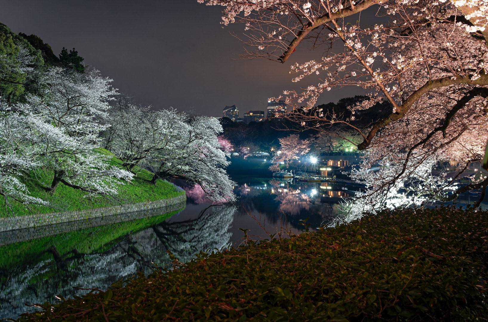 Kitanomaru Park - Japan | 2024