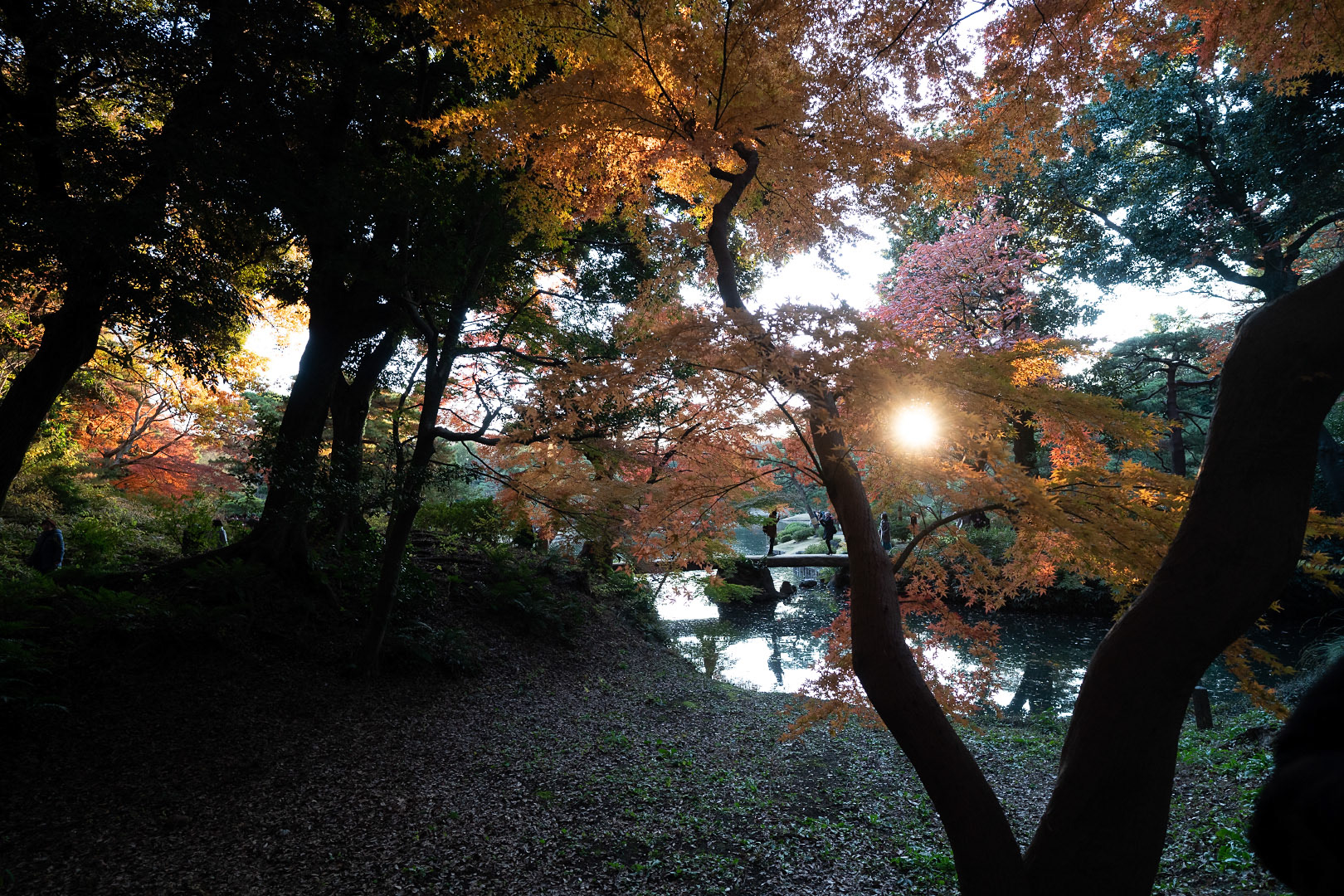 Tokyo Rikugi-en Garden - Japan | 2019