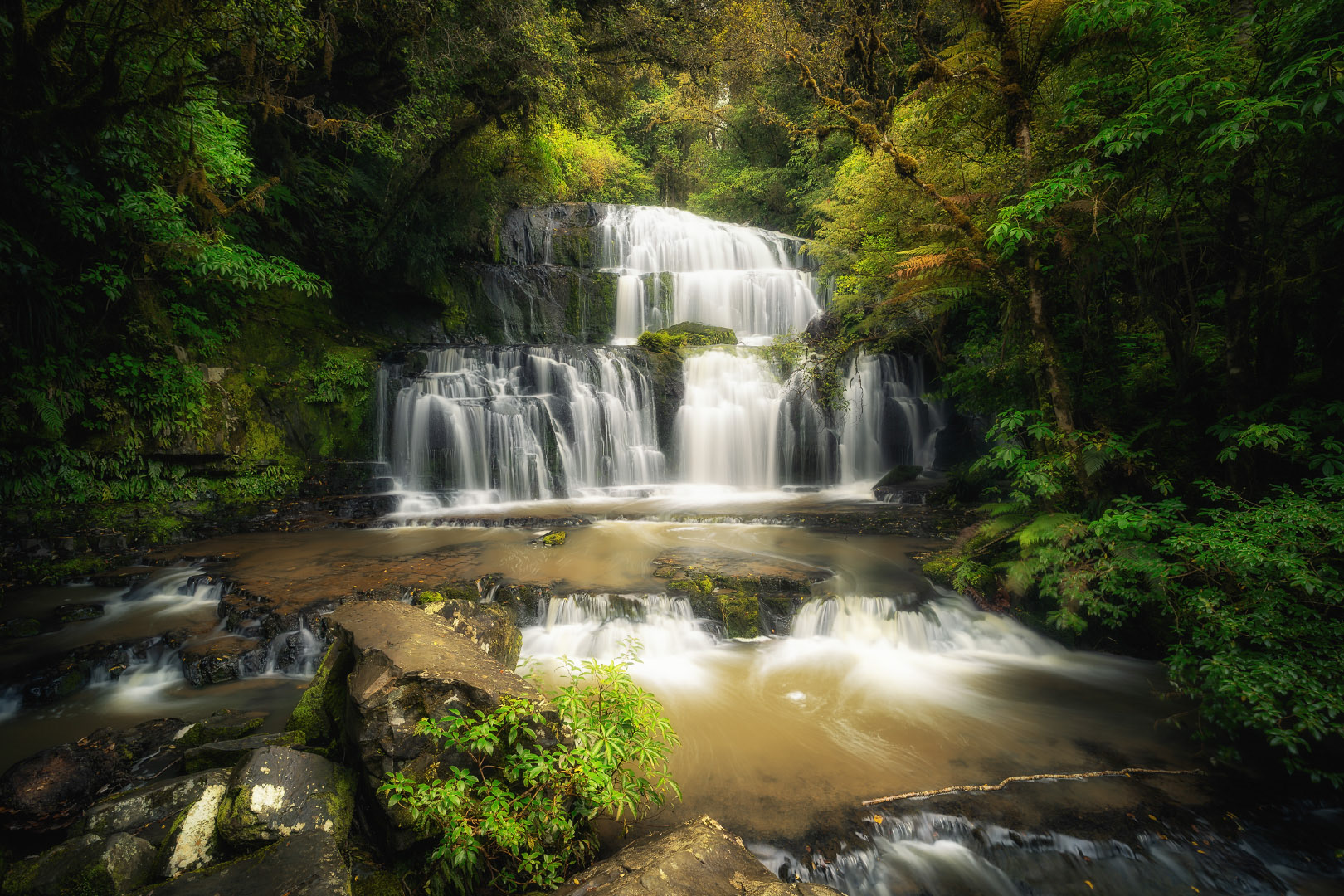 Purakaunui - New Zealand | 2026
