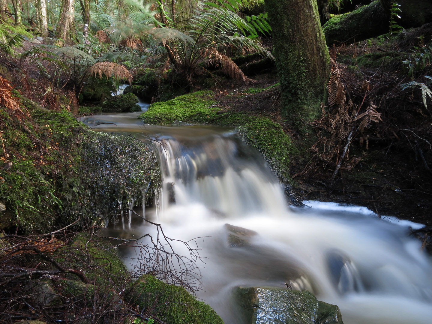Launceston_Bicheno - Tasmania | 2013