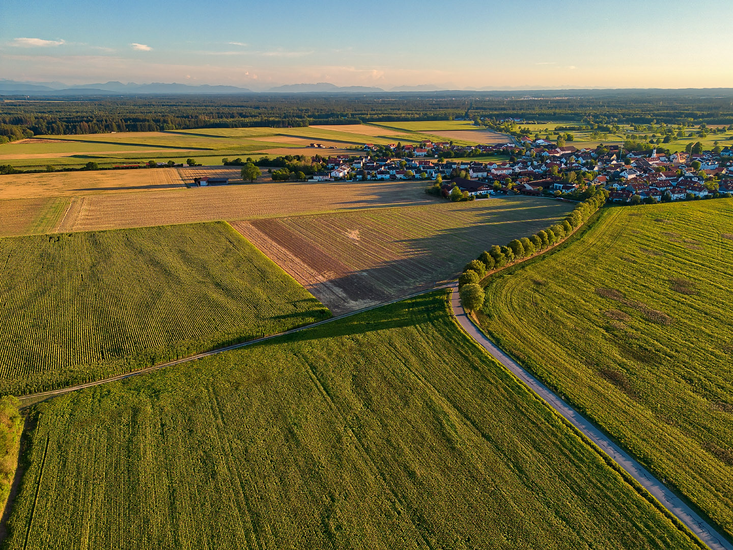 Grasbrunn - Germany | 2022