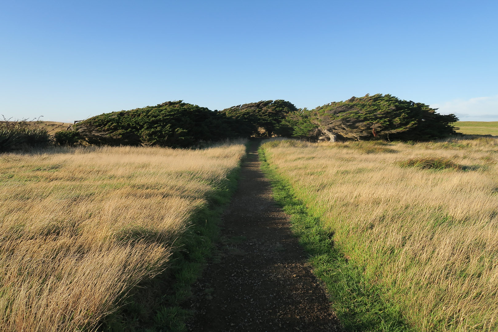 The Catlins - New Zealand | 2019