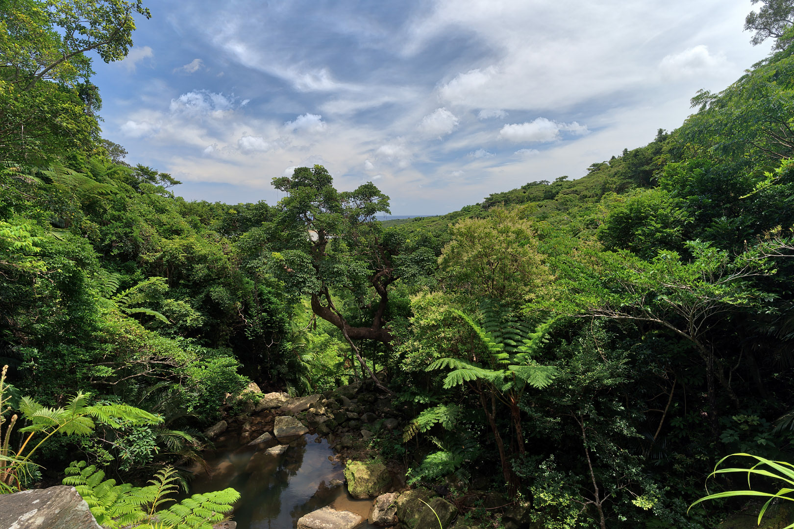 Iriomotejima - Japan | 2020