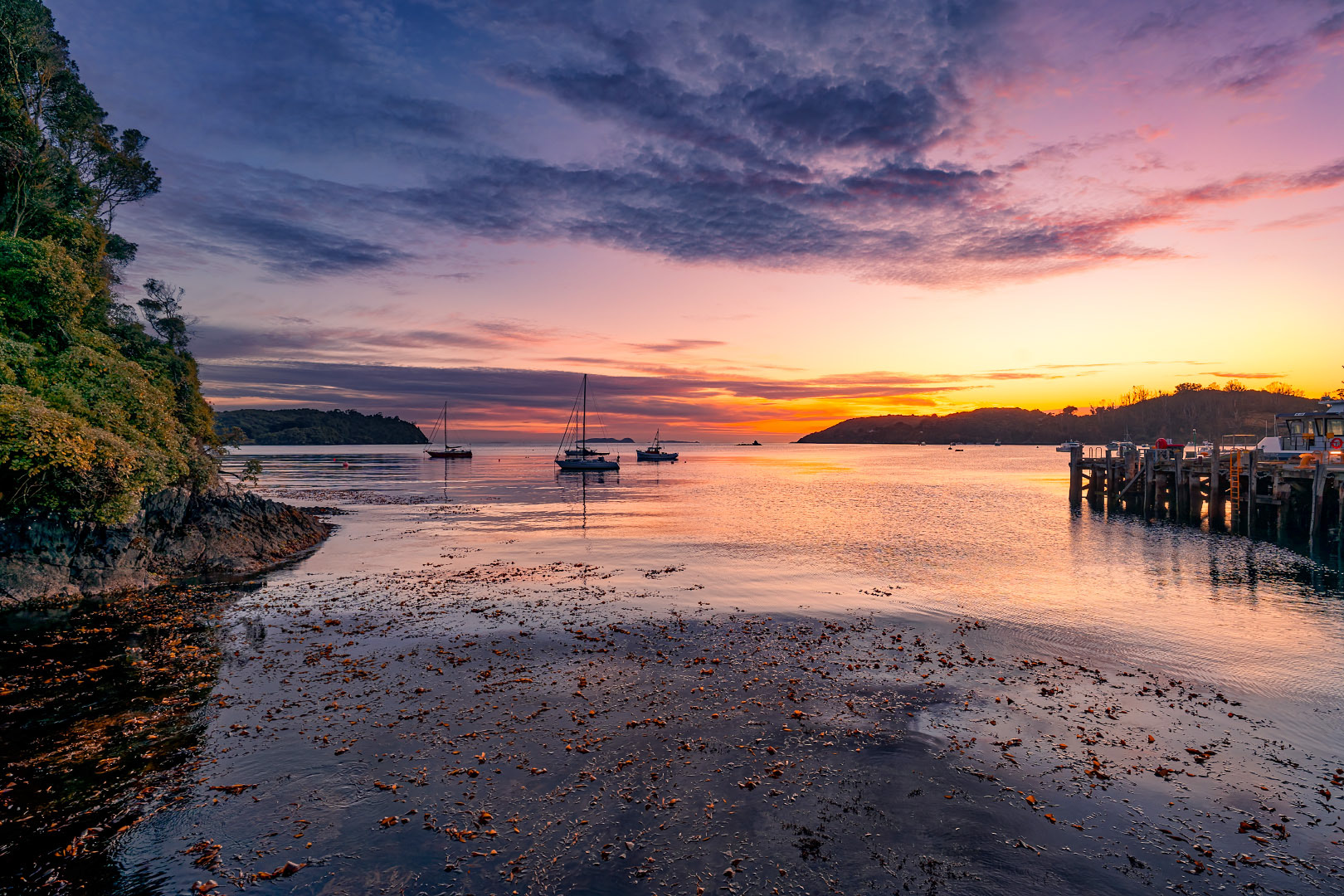 Stewart Island - New Zealand | 2026