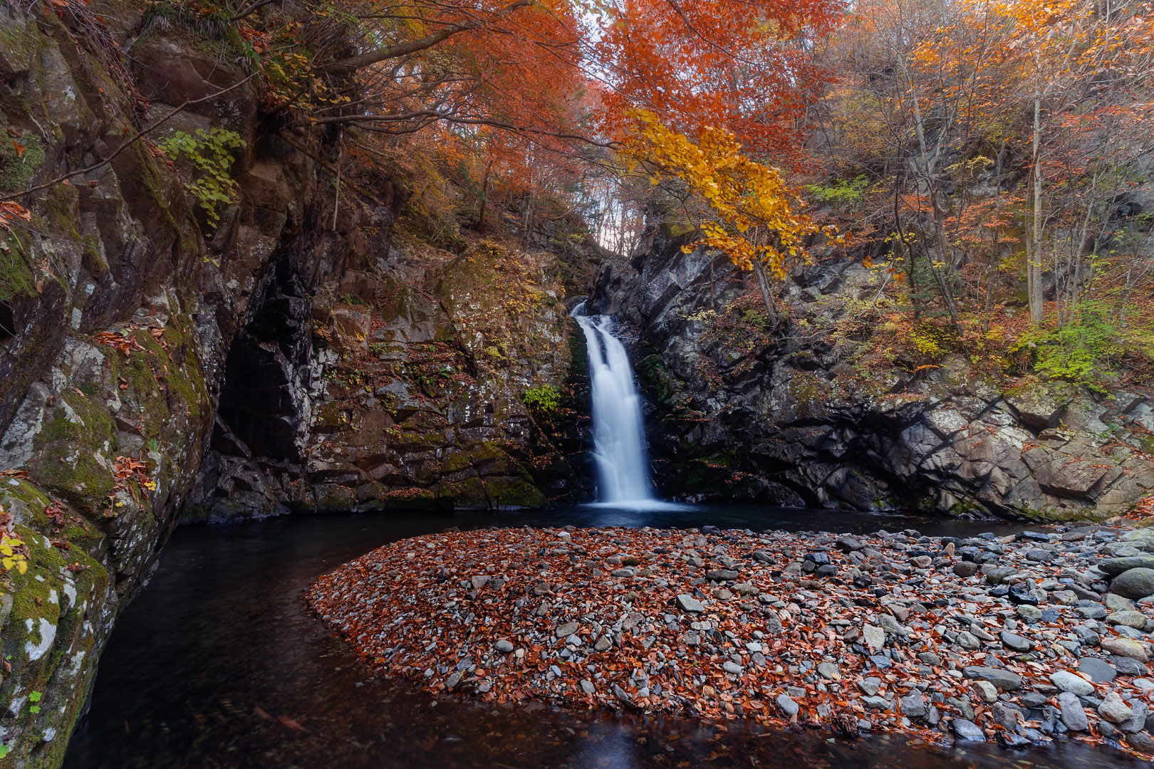 Otaki - Japan | 2021
