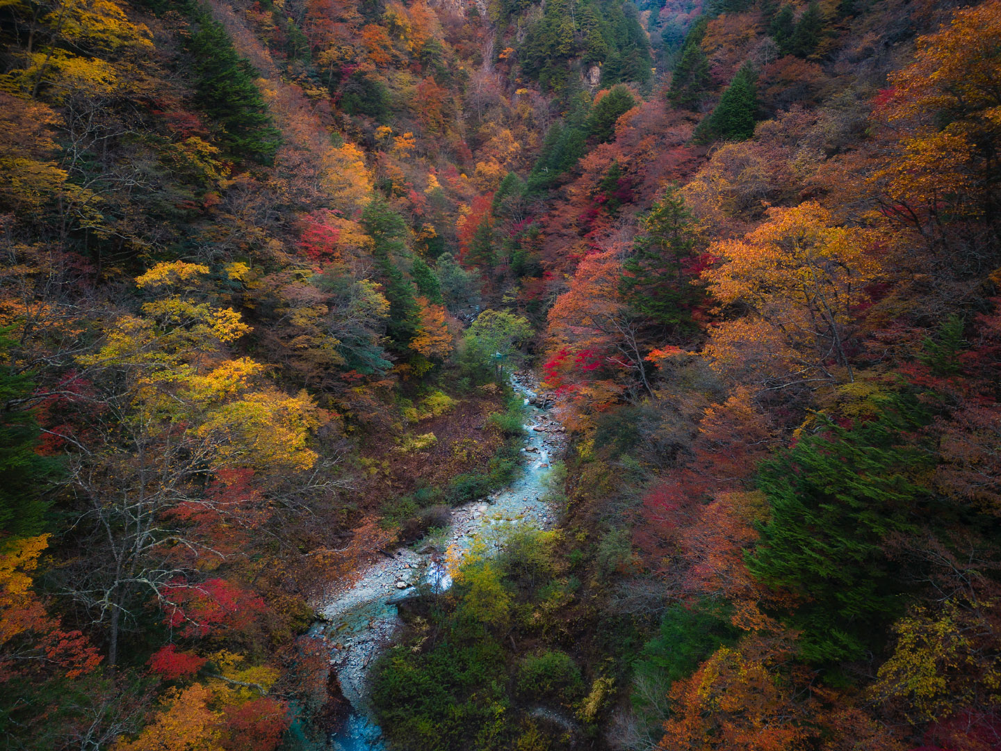 Takase Valley - Japan | 2023