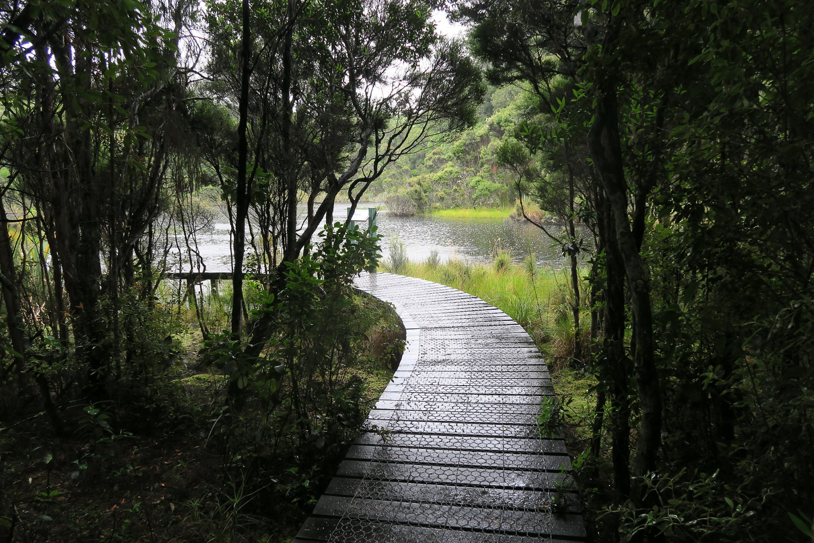 The Catlins - New Zealand | 2019