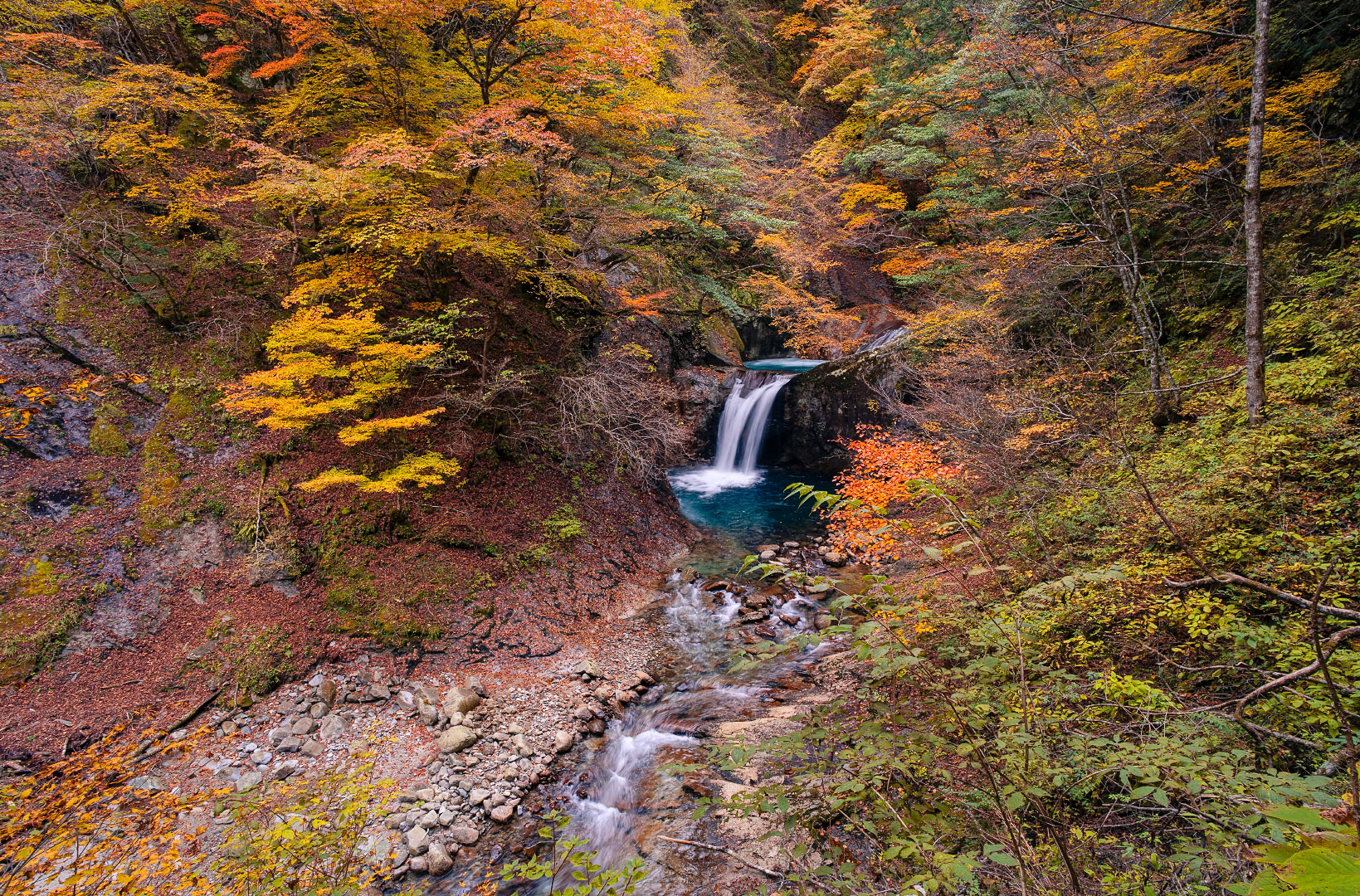 Nishizawa Gorge - Japan | 2022