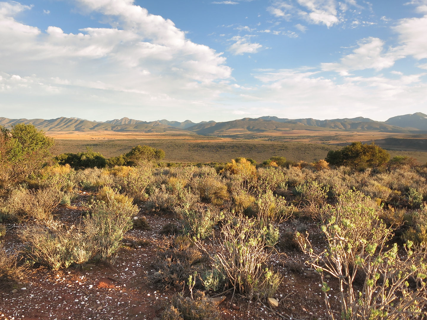 George_Oudtshoorn - South Africa | 2014