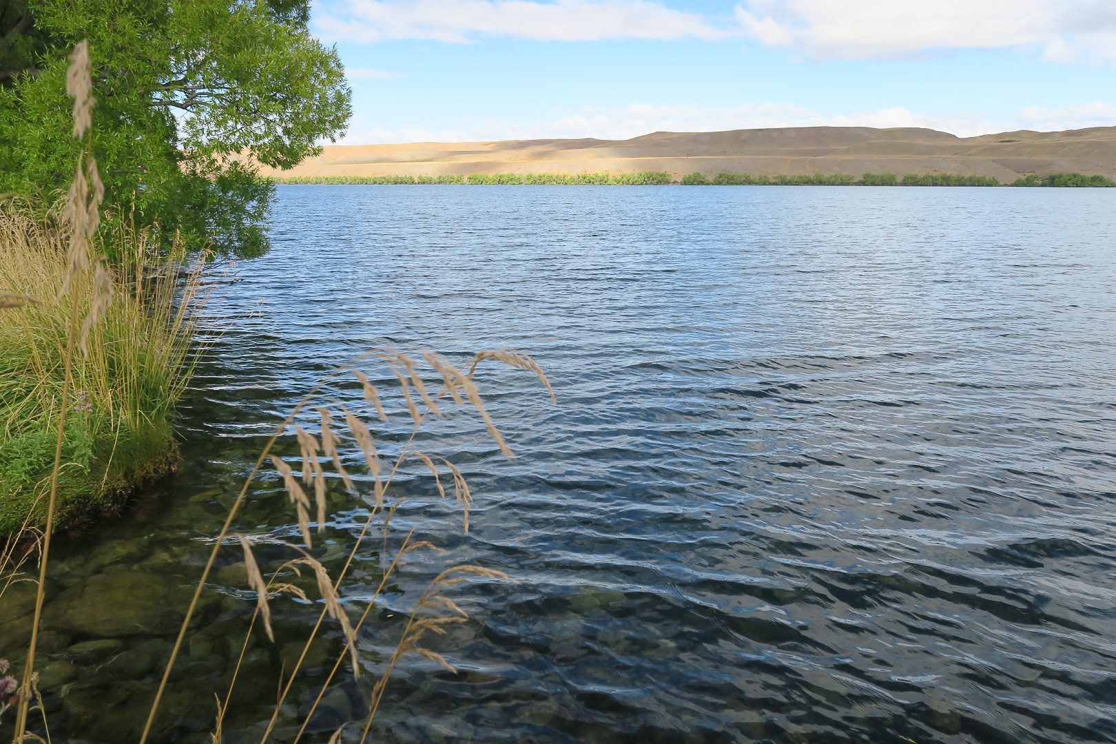 Lake Alexandrina - New Zealand | 2019