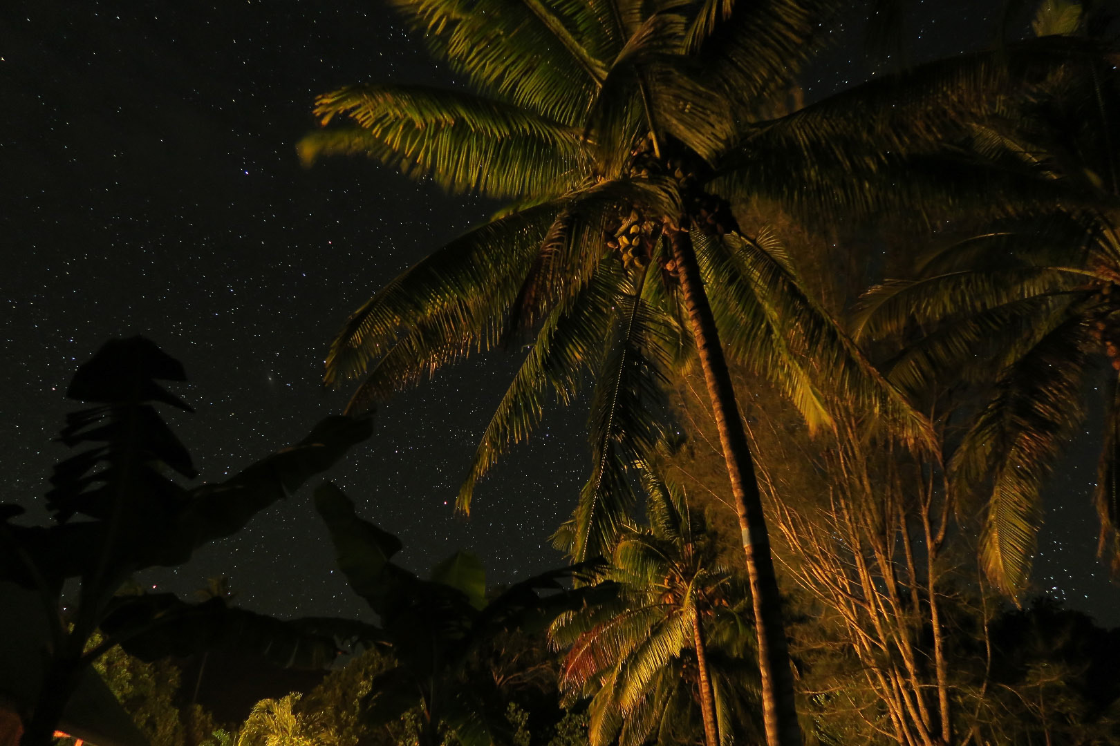 Moorea - French Polynesia | 2015