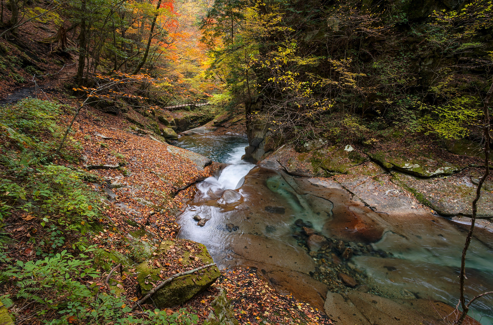 Nishizawa Gorge - Japan | 2022