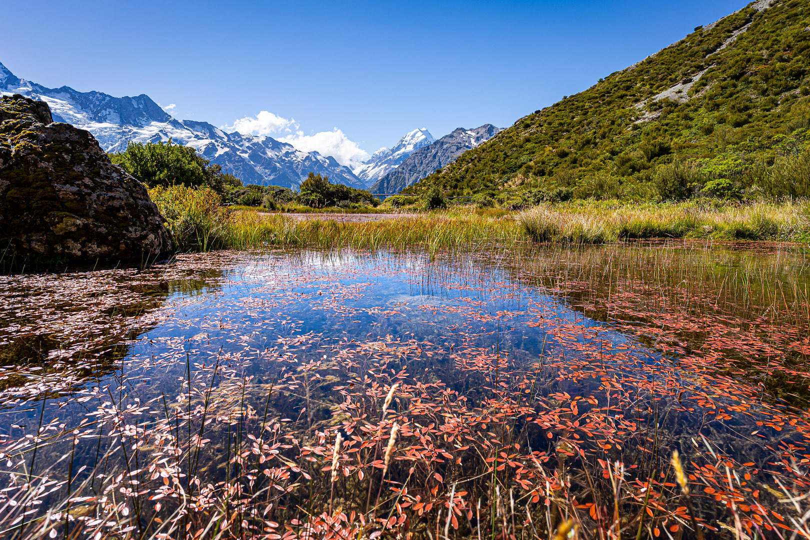 Red Tarns Track - New Zealand | 2026