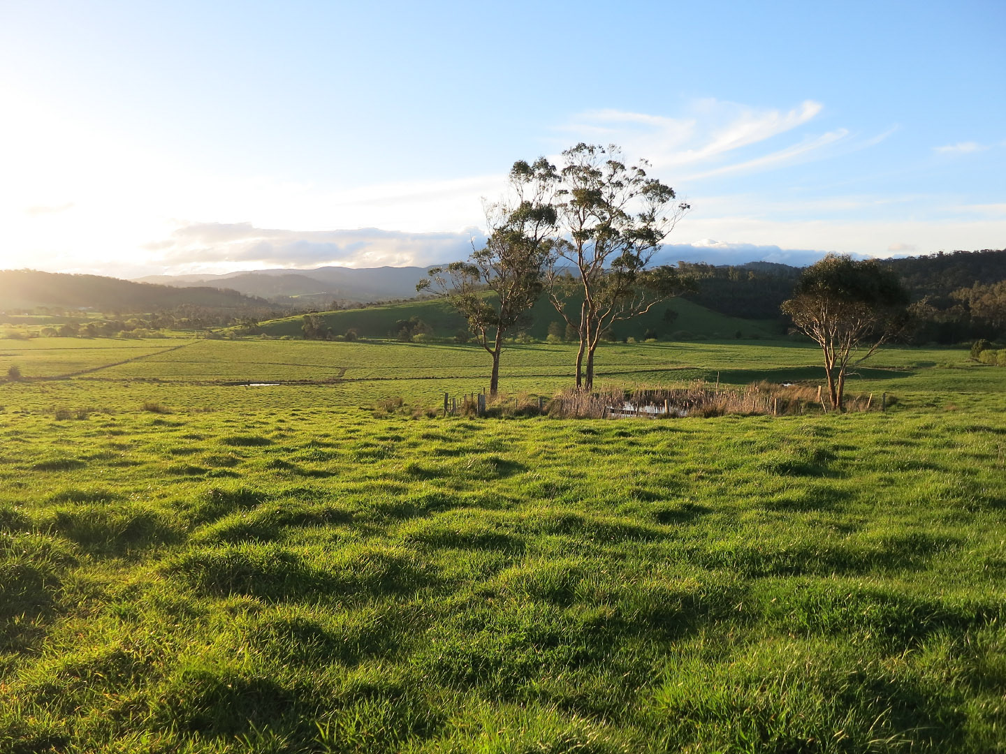Launceston_Bicheno - Tasmania | 2013