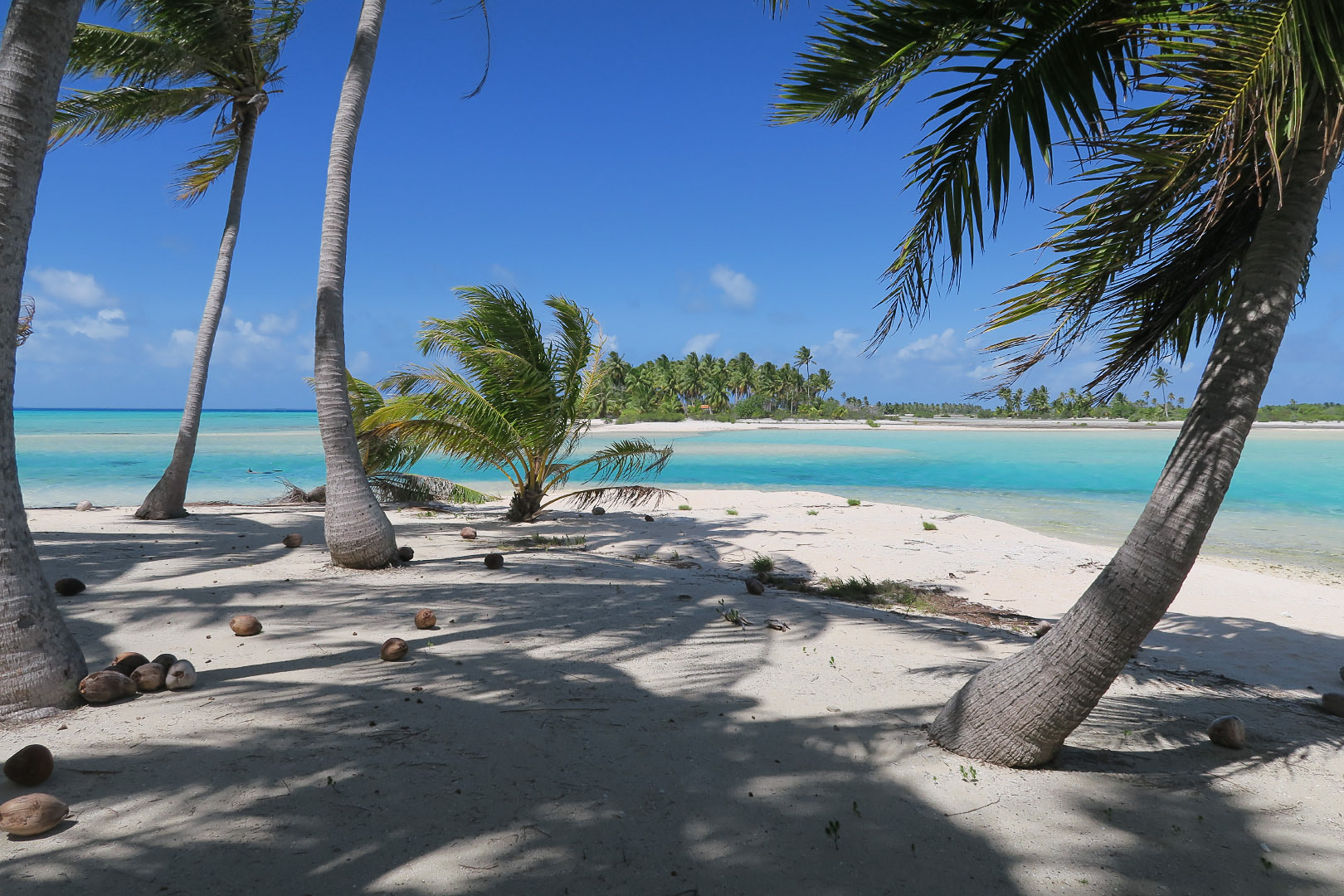 Tikehau - French Polynesia | 2015