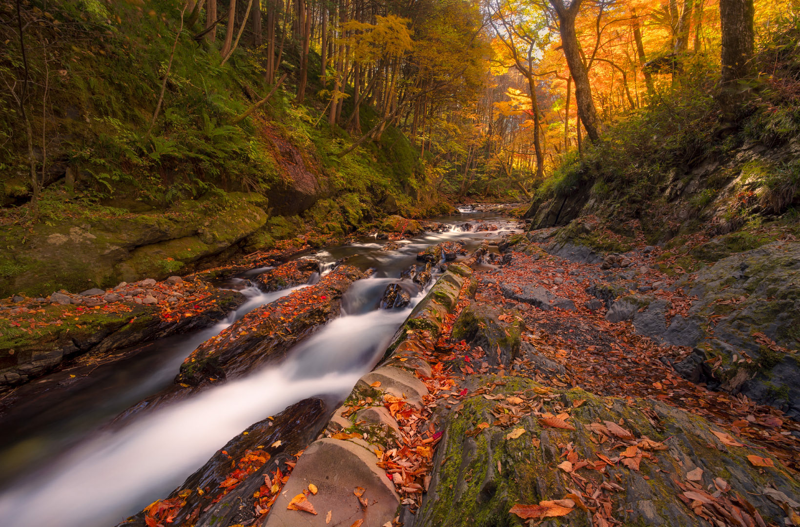 Yokokawa Ravine - Japan | 2023