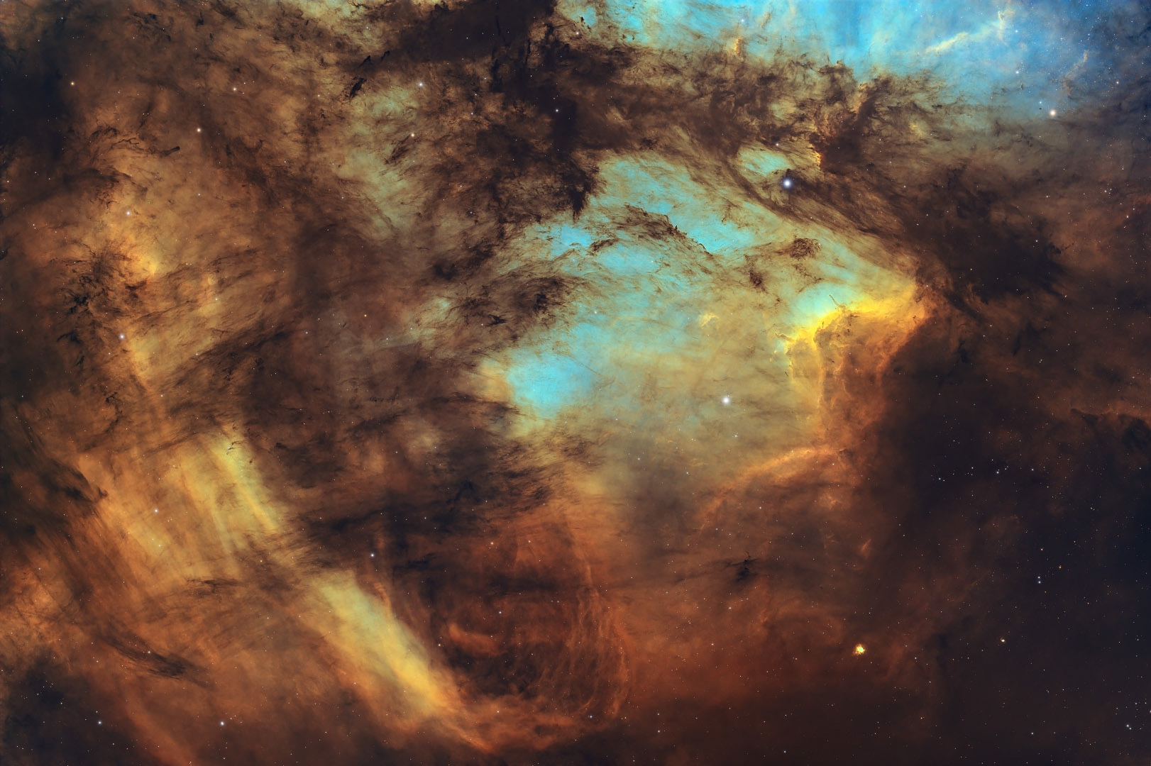 Pelican Nebula - Japan | 2024