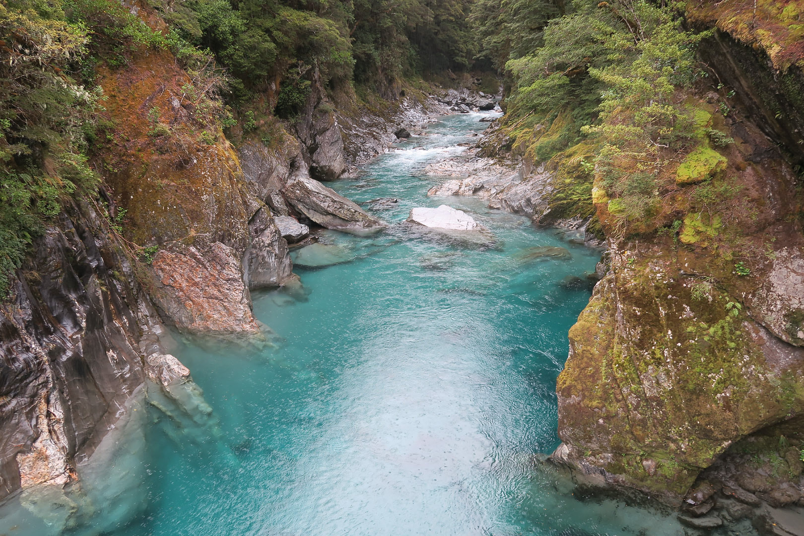 Blue Pools Track - New Zealand | 2019