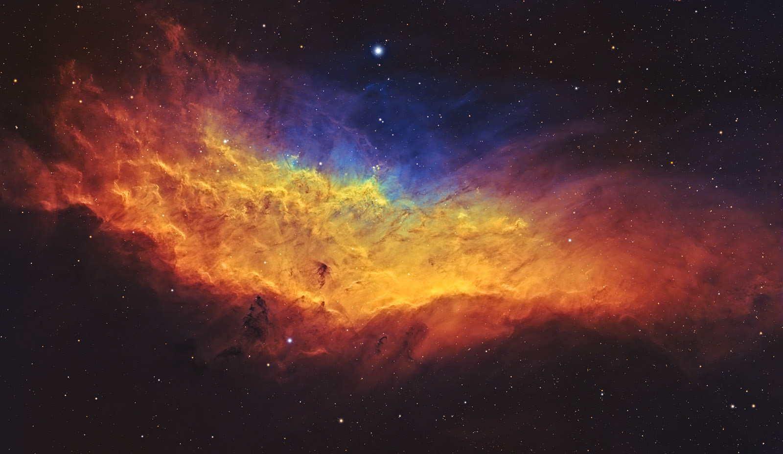 California Nebula - Japan | 2024