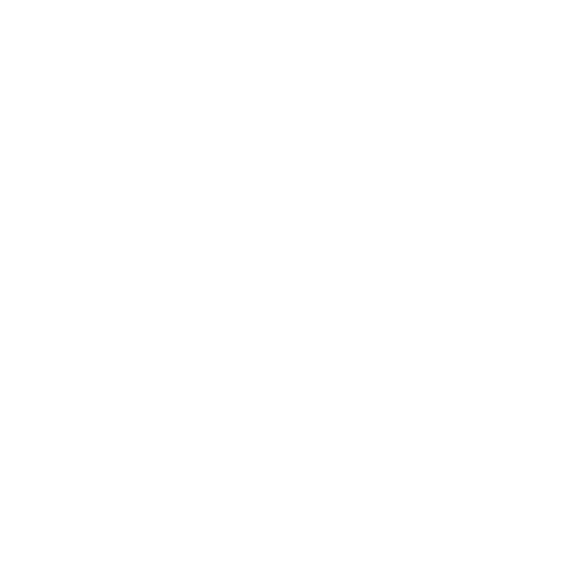 LR LOGO