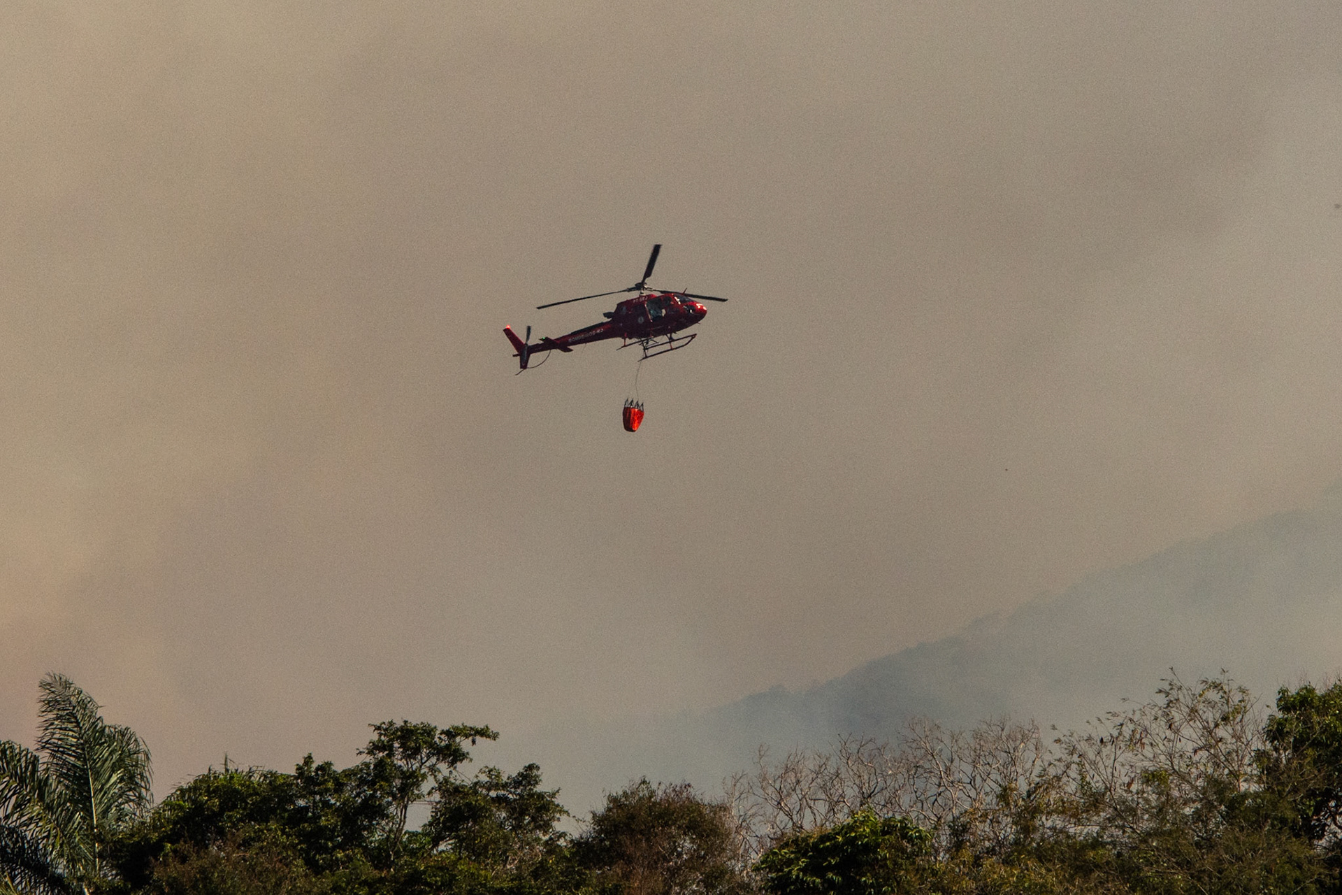 Incêndio na região do Caxambu - Petrópolis (RJ), 11 de setembro de 2024