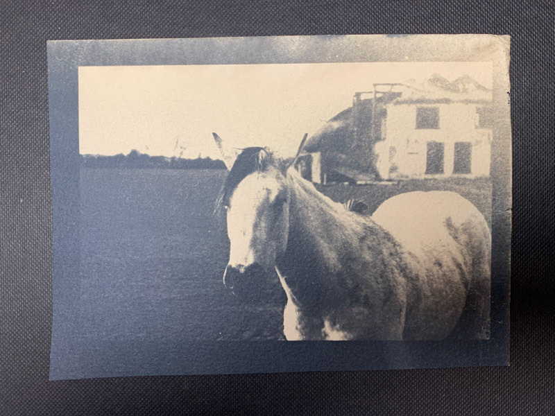 Nieuwlanderweg, Texel