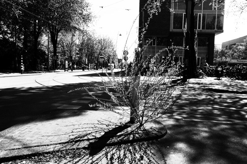 Amsterdam, ‘s-Gravesandeplein