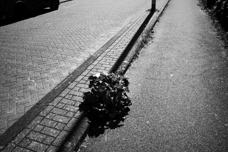 Amsterdam, Sumatrastraat
