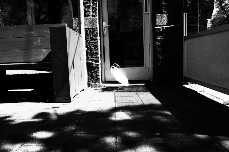 Amsterdam, Tweede Boerhaavestraat, Bar Douwes