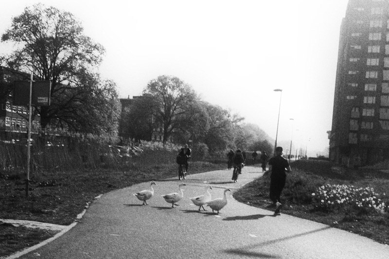 Amsterdam, Ooster Ringdijk