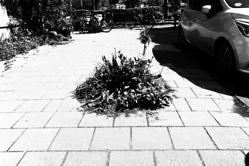 Amsterdam, Andreas Bonnstraat